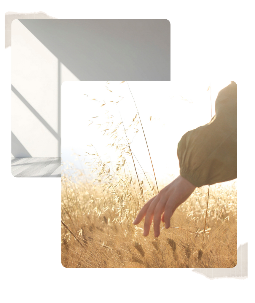 individual counseling